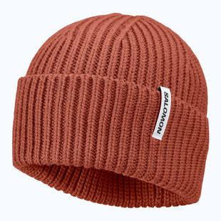 Winter hat Salomon Snowbird burnt umber