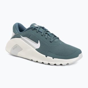 Men's training shoes Nike Flex Train mineral slate/spruce aura/white