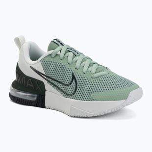 Men's training shoes Nike Air Max Alpha Trainer 6 steam/spruce aura/off white/black spruce