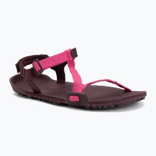 Women's barefoot sandals Xero Shoes Z-Trail EV fuchsia purple