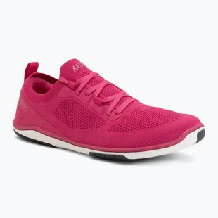 Women's barefoot shoes Xero Shoes Nexus Knit fuchsia purple
