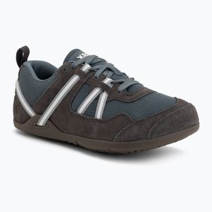 Men's barefoot shoes Xero Shoes Prio insignia stormy weather