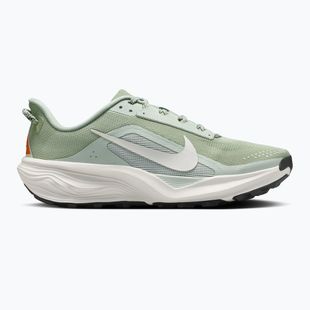 Men's running shoes Nike ACG Pegasus Trail jade horizon/light silver/phantom