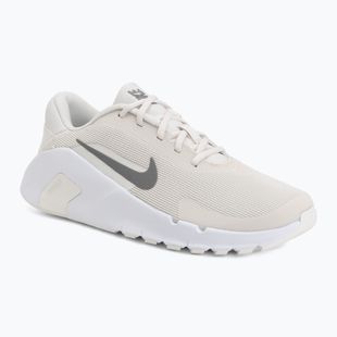 Men's training shoes Nike Flex Train phantom/white/sail/pencil point