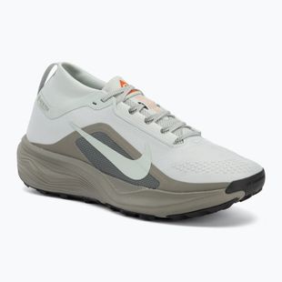 Men's running shoes Nike ACG Pegasus Trail GORE-TEX Light Silver/Light Army/Light Silver