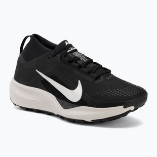 Men's running shoes Nike ACG Pegasus Trail GORE-TEX Black/Light Orewood Brown/Summit White