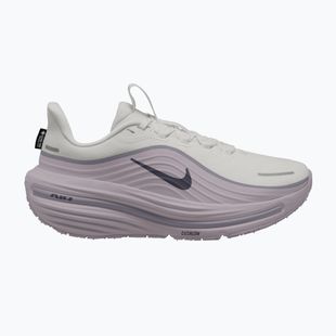 Women's running shoes Nike Winflo 12 GORE-TEX vast grey/cement grey/gridiron