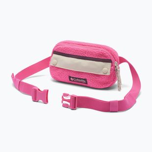 Waist bag Columbia Helvetia II Hip Pack 1 l nico/dark stone