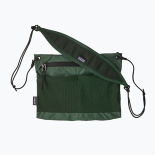 Pouch Patagonia Terravia Sacoche canopy green