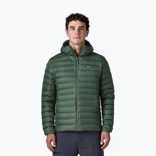 Men's down jacket Patagonia Down Sweater Hoody treeline green