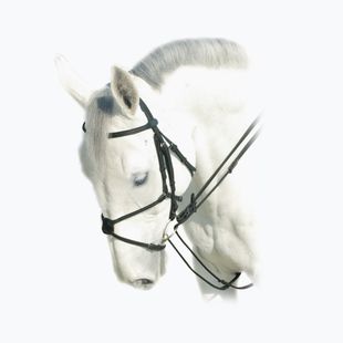 Black leader for horse Prestige Italia E50