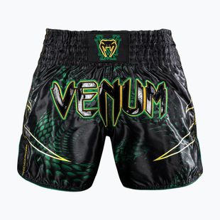 Men's training shorts Venum Matupa Muay Thai black/green/gold