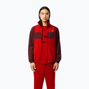 Lacoste men's tracksuit WH2522 expresso / opera