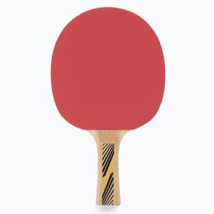 Donic-Schildkröt Legends 300 FSC table tennis racket 705234