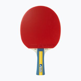 JOOLA Team Master table tennis racket