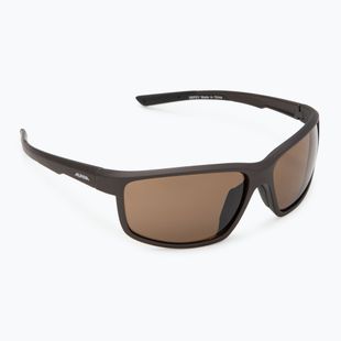 Alpina sunglasses