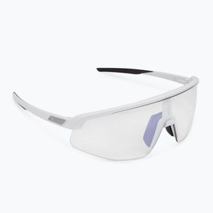 Alpina sunglasses