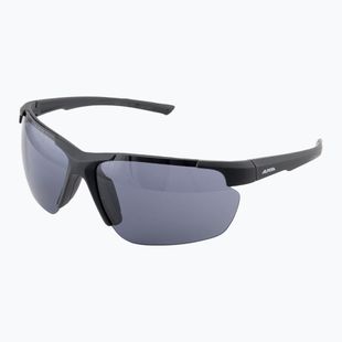 Sunglasses Alpina Defey HR black matte/black