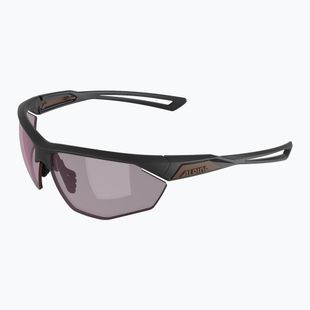 Sunglasses Alpina Nylos HR gun matt/pink