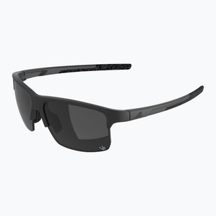 Sunglasses Alpina Eagle Q-Lite black matt/silver mirror