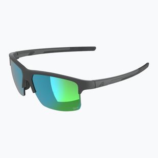 Sunglasses Alpina Eagle Q-Lite midnight/grey matt/green