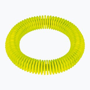 Fashy 4200 fin ring diving toy neon green