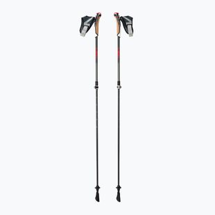 LEKI Instructor Lite nordic walking poles black and silver 65326341