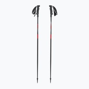 Ski poles LEKI Hot Shot anodized black/eloxal gray/eloxal red