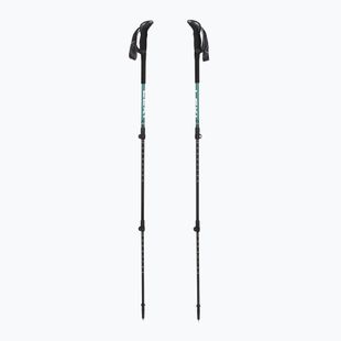 Trekking poles LEKI Makalu Lite malachite green/dark malachite green/white