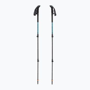 Trekking poles LEKI Makalu Lite AS greenblue light/greenblue dark