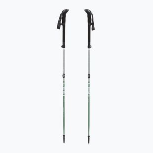Trekking poles LEKI Makalu FX TA silver/greygreen/white