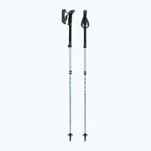 Trekking poles LEKI Makalu FX TA silver/greygreen/white