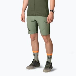 Men's DYNAFIT Transalper Light Dynastretch sage trekking shorts