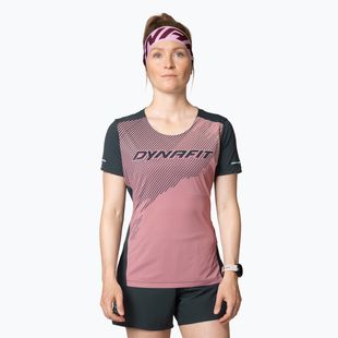 Women's DYNAFIT Alpine 2 Tee mokarosa running t-shirt