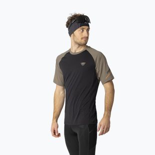 Men's running top DYNAFIT Alpine Pro fallen rock/0936
