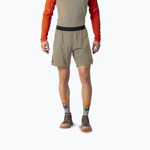 Men's running shorts DYNAFIT Alpine Pro 2IN1 fallen rock