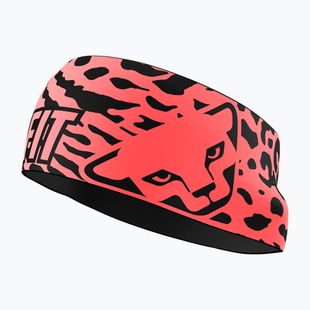 Headband DYNAFIT Graphic Performance ultra coral/0910 leo