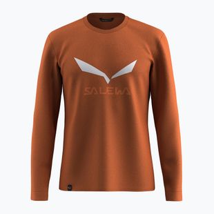Men's longsleeve Salewa Solidlogo Dry bombay brown