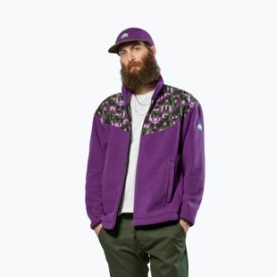 Trekking sweatshirt Salewa Eagle Anniversary plum