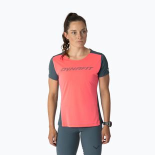 Women's running top DYNAFIT Alpine 2 Tee ultra coral