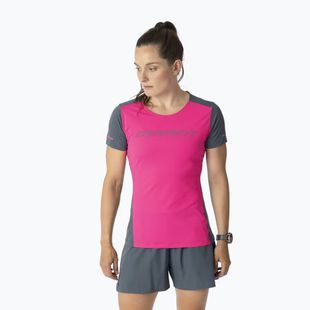 Women's running top DYNAFIT Alpine 2 Tee pink glo