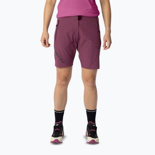 Women's trekking shorts DYNAFIT Transalper Light Dynastretch amaranth/0910