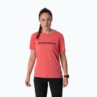 Women's trekking T-shirt DYNAFIT Traverse cabana
