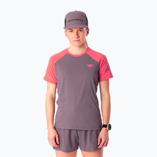 Women's running shirt Dynafit Alpine Pro SS Tee cabana/6A90