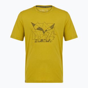 Men's T-shirt Salewa Eagle Geometric olive oil