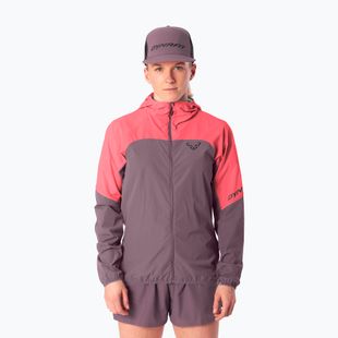 Women's running jacket DYNAFIT Alpine Wind cabana ephemera/6a90