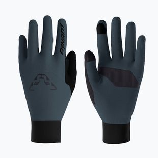 Ski touring gloves DYNAFIT Blacklight Polartec Alpha cinder