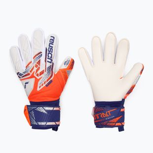 Reusch Attrakt Silver shocking orange/energize blue goalkeeper gloves
