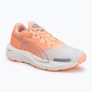 Women's running shoes Puma Velocity Nitro 2 melon/white/grey