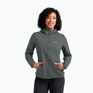 Women's softshell jacket Jack Wolfskin Windhain Hoody slate green